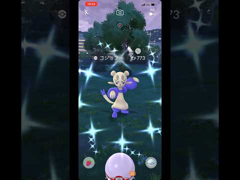 【ポケモンGO】色違いコジョフー!色違いコジョンド!!【Shiny Pokémon】