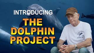 An Introduction to the Dolphin Project.