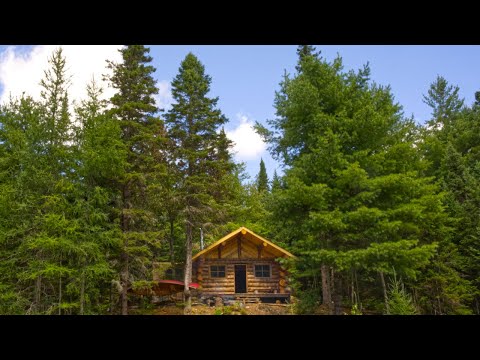 Full Off Grid Log Cabin Tour