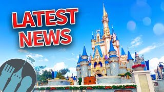 Latest Disney News: Island Tower is OPEN, Bluey Coming to Disney World & MORE!