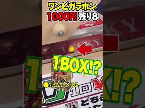 【ワンピガラポン】もう絶対負けねぇから！！！ #shorts