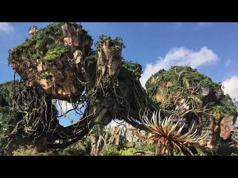 Pandora Background Audio In Animal Kingdom