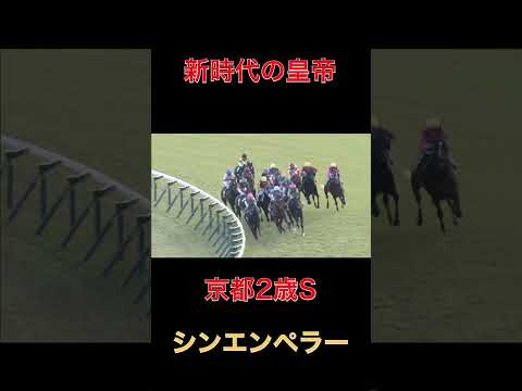 新時代の皇帝シンエンペラー【競馬】