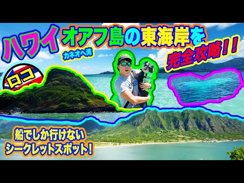 【ハワイのツアーはいつ再開する？】オアフ島の超人気ツアースポットへ行ってみた！