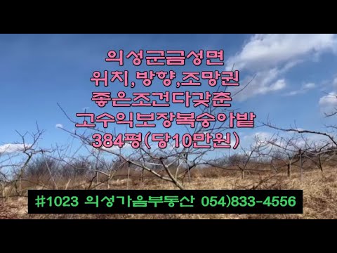 #1023 의성가음부동산 도로근처 남향 확트인 복숭아밭 7년생 384평 3900만 (당10만원) 전기가능 면사무소근처 모든조건^ 투자용 쉼터 주말농장적합 #의성땅#의성과수원매매