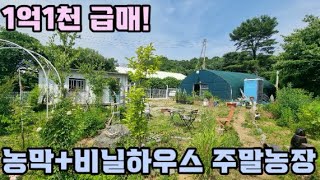 🕴[계약완료][1억1천]농막+창고(비닐하우스) 주말농장 강력추천! !/양평 전원주택/양평 전원주택 급매/양평 부동산/주말주택/ 매물번호 : 19619