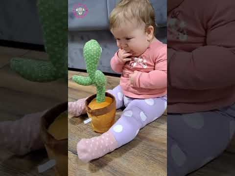 Dancing Cactus. Order Now! #baby #babyproducts #babytoys #littlebabytown #dancingcactus