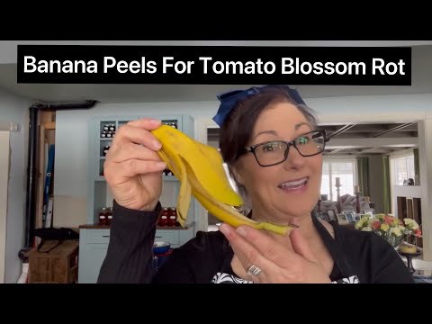 How do Banana Peels Help With Tomato Blossom Rot?