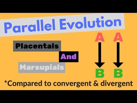 Parallel Evolution | Compare to Divergent and Convergent