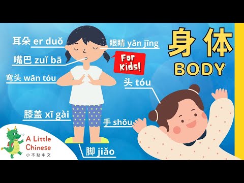 Learn All About Parts of Your Body in Chinese + Song 身体 | Chinese for Babies, Toddlers, & Kids