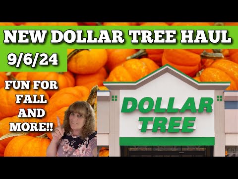 Check Out My Latest Dollar Tree Finds!