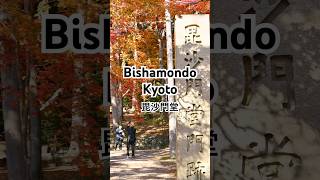 Bishamondo, Kyoto.  #autumn #autumnvibes #japantrip #kyototrip