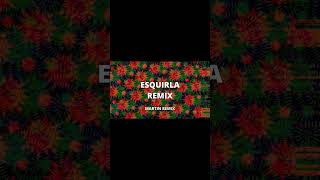 ESQUIRLA REMIX FEID ⚡️ MARTINREMIX #remix #cachengueremix