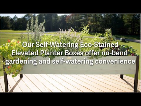 Self-Watering Eco-Stained Elevated Planter Boxes