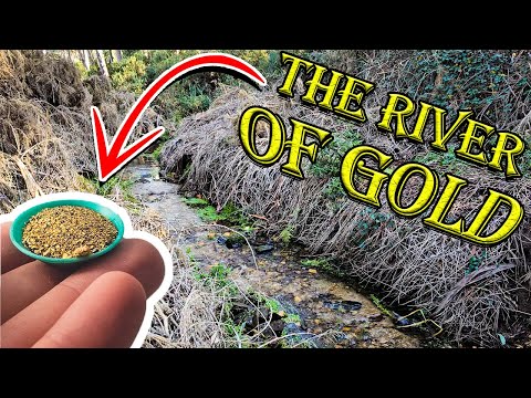 No One Knew There Was Gold Here!