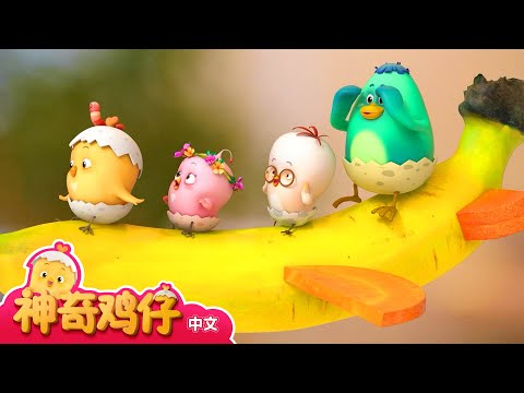 观察香蕉 + 追加剧集 | 神奇鸡仔宝宝观察 | 神奇鸡仔启蒙游戏 | Como Kids TV