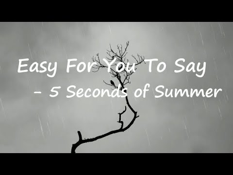 5 Seconds of Summer – Easy For You To Say Lyrics