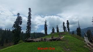 Sharan Forest || Manchi top || Pakistan travel