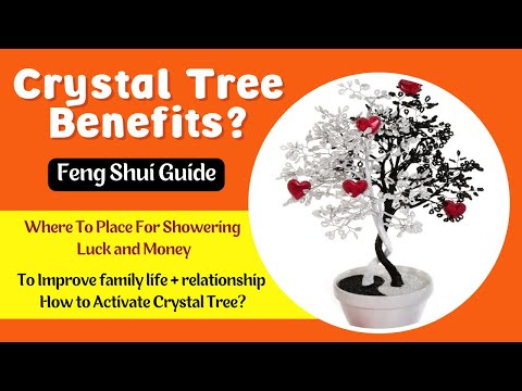 Feng Shui Crystal Tree Benefits: Meaning, Healing, Usages and Placement and Direction Guide #GemTree