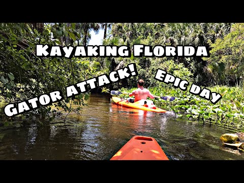 HOLY S**T ALIGATOR NEARLY GOT US! Kayaking Florida