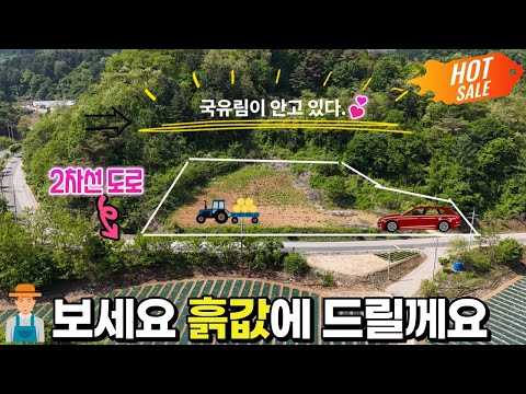 8.땅매매 "진짜 이가격 실화? 2차선도로,국유림접 평당 11만원의 기회!"   제천땅집부동산TV