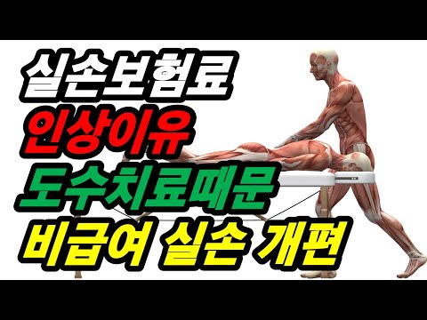 실손보험료 인상이유 도수치료때문 비급여 실손 개편