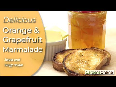 Orange and Grapefruit Marmalade Recipe