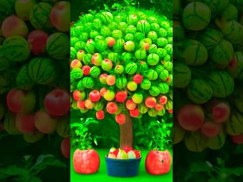 Apple fruit grow from alovera #shorts