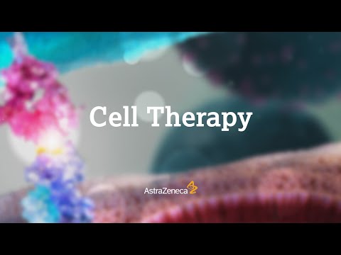 Our ambition in cell therapy