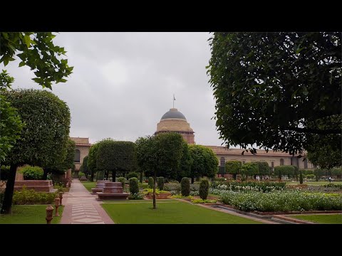 Amrit Udyan gearing up to welcome visitors from August 16 to September 15, 2024