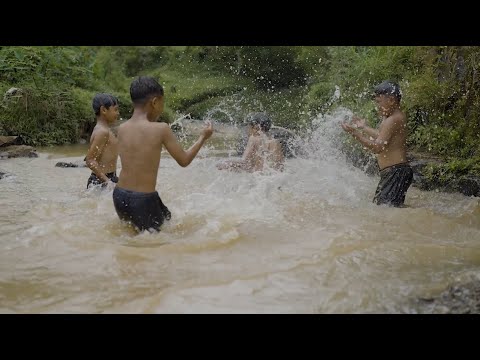 AZ Forest Indonesia: Supporting local communities, nature and our planet through reforestation