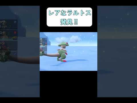 【ポケモンSV】レアなラルトス発見‼ #shorts