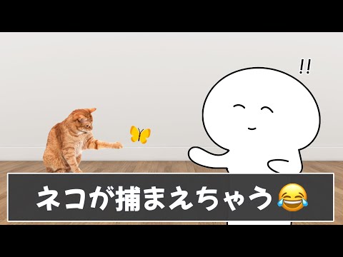 みんなの虫嫌いな人あるあるが分かりすぎてやばいｗｗｗ【ツッコミ】【あるある】