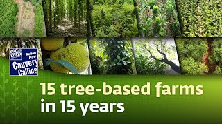 A look at 15 farms that have transitioned to tree-based farming in the last 15 years.