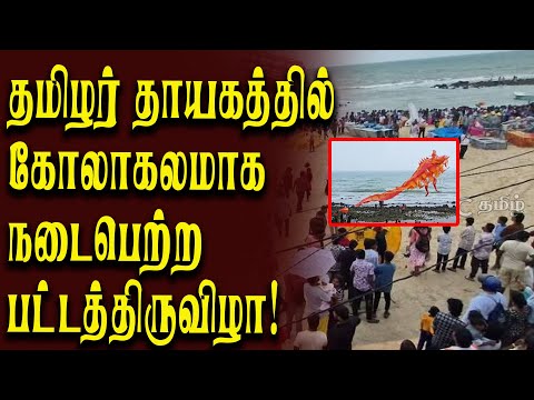 தமிழர் தாயகத்தில் கோலாகலமாக நடைபெற்ற பட்டத்திருவிழா!