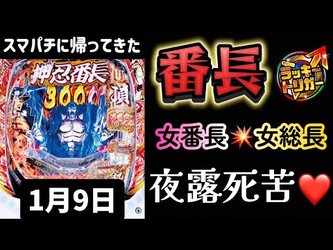 後半→最新台✨eぱちんこ押忍!番長 漢の頂 番長スマパチ パチンコ新台 パチンコ パチンコライブ配信 ライブ配信 生配信