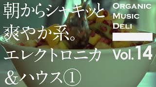 【エレクトロニカ・作業用BGM】朝からシャキッと。　エレクトロニカ＆ハウス【通勤用】   Organic Music Deli vol.14