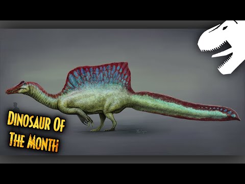 Spinosaurus Reconstructions | Dinosaur Of The Month (w/ Lopho Lee & The Knight of Green)