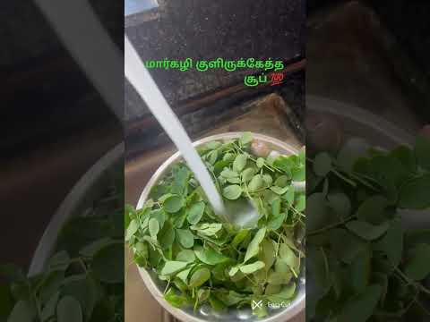 ‼️குளிருக்கேத்த முருங்கை 🌿பருப்பு சூப் #murungaikeerairecipes #murungaikeeraisoup #vegeterianrecipe