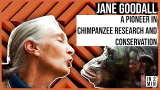 Jane Goodall: A Pioneer in Chimpanzee Research and Conservation