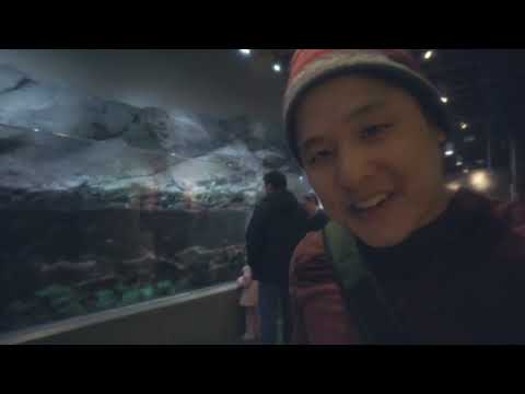 seattle aquarium | fave 3 exhibits