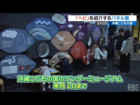 「毒ヘビに噛まれたら心臓に近いところを縛って」 今年の干支「巳」の生態などを紹介 沖縄こどもの国