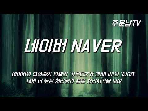 네이버 NAVER 주가 추세 분석 다시 한번 중요한 위기 구간 입니다. 이렇게 대응하세요.