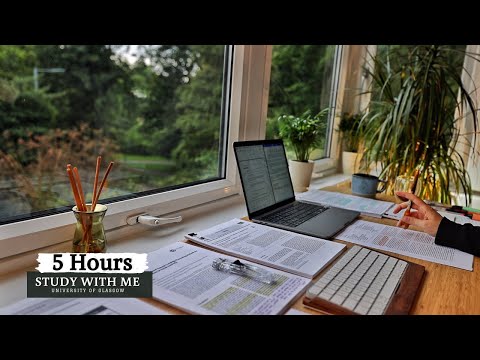 5 HOUR STUDY WITH ME ⎸ Background noise, 10 min Break, No music, Study with Merve