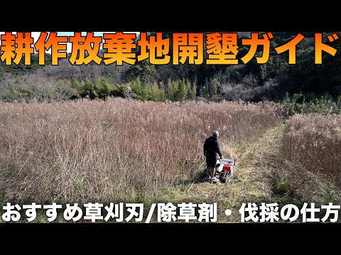 耕作放棄地を攻略する①