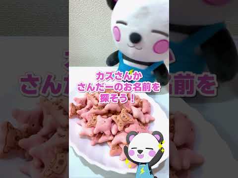 大量のコアラのマーチからお名前を見つけるまで終われません！🐨 #shorts