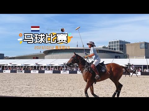 随手拍43-偶遇马球比赛，阿姆斯特丹真是惊喜多多 | Museumplein Polo Amsterdam 2023 | 胖仔的荷兰日记 Pangzai's diary 20231012