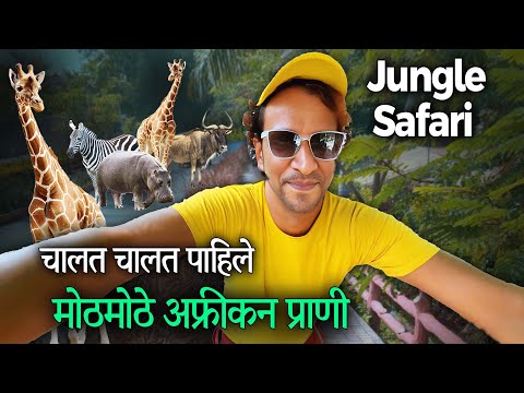 चालत पाहिले मोठमोठे अफ्रीकन प्राणी | Sardar Patel Zoological Park | Wildlife Adventure In Gujrat