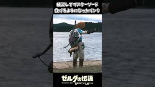 練習してマスターソードを抜けるようになったリンクｗｗ【ゼルダの伝説 ブレス オブ ザ ワイルド】