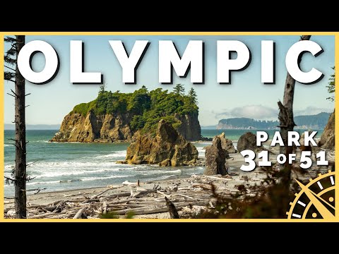 🌊🌲 10 MUST VISIT Places in Olympic National Park | 51 Parks with the Newstates